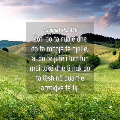 Picture 04 - Psalmet 41:2 ALB - Zoti do ta ruajë dhe do ta mbajë të gjallë; - Bible Verse Picture
