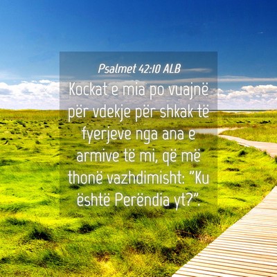 Picture 04 - Psalmet 42:10 ALB - Kockat e mia po vuajnë për vdekje për shkak - Bible Verse Picture