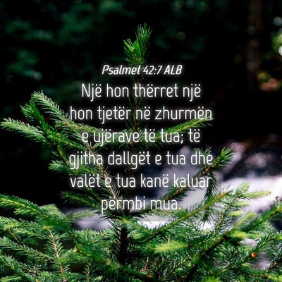 Picture 04 - Psalmet 42:7 ALB - Një hon thërret një hon tjetër në zhurmën e - Bible Verse Picture