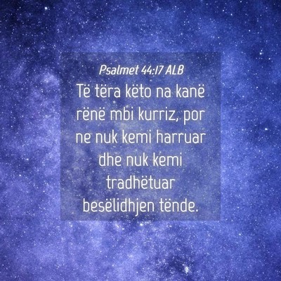 Picture 04 - Psalmet 44:17 ALB - Të tëra këto na kanë rënë mbi kurriz, por - Bible Verse Picture