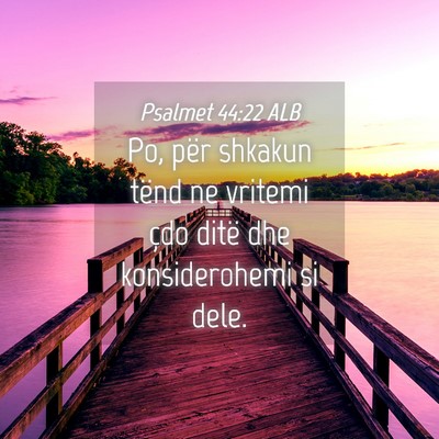 Picture 04 - Psalmet 44:22 ALB - Po, për shkakun tënd ne vritemi çdo ditë dhe - Bible Verse Picture