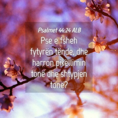 Picture 04 - Psalmet 44:24 ALB - Pse e fsheh fytyrën tënde, dhe harron - Bible Verse Picture
