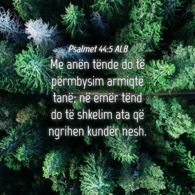 Picture 04 - Psalmet 44:5 ALB - Me anën tënde do të përmbysim armiqtë tanë; - Bible Verse Picture