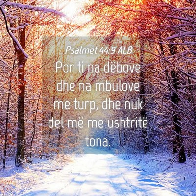 Picture 04 - Psalmet 44:9 ALB - Por ti na dëbove dhe na mbulove me turp, dhe nuk - Bible Verse Picture