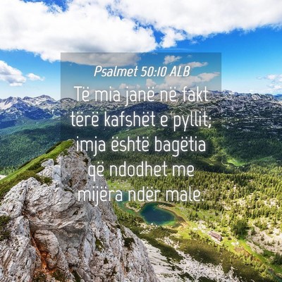 Picture 04 - Psalmet 50:10 ALB - Të mia janë në fakt tërë kafshët e pyllit; - Bible Verse Picture