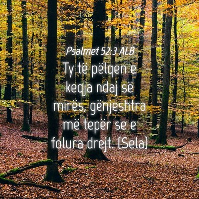 Picture 04 - Psalmet 52:3 ALB - Ty të pëlqen e keqja ndaj së mirës, - Bible Verse Picture