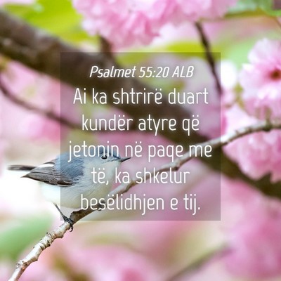 Picture 04 - Psalmet 55:20 ALB - Ai ka shtrirë duart kundër atyre që jetonin - Bible Verse Picture