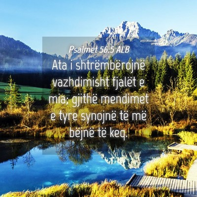 Picture 04 - Psalmet 56:5 ALB - Ata i shtrëmbërojnë vazhdimisht fjalët e mia; - Bible Verse Picture