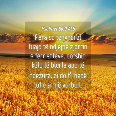 Picture 04 - Psalmet 58:9 ALB - Para se tenxheret tuaja të ndjejnë zjarrin e - Bible Verse Picture