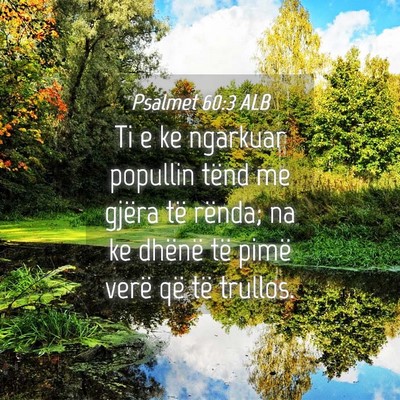 Picture 04 - Psalmet 60:3 ALB - Ti e ke ngarkuar popullin tënd me gjëra të - Bible Verse Picture