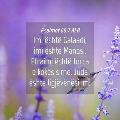 Picture 04 - Psalmet 60:7 ALB - Imi është Galaadi, imi është Manasi, Efraimi - Bible Verse Picture