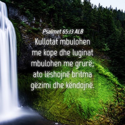 Picture 04 - Psalmet 65:13 ALB - Kullotat mbulohen me kope dhe luginat mbulohen me - Bible Verse Picture