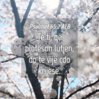 Picture 04 - Psalmet 65:2 ALB - Te ti, që plotëson lutjen, do të vijë çdo - Bible Verse Picture