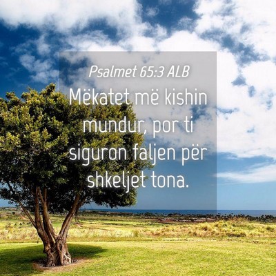 Picture 04 - Psalmet 65:3 ALB - Mëkatet më kishin mundur, por ti siguron faljen - Bible Verse Picture