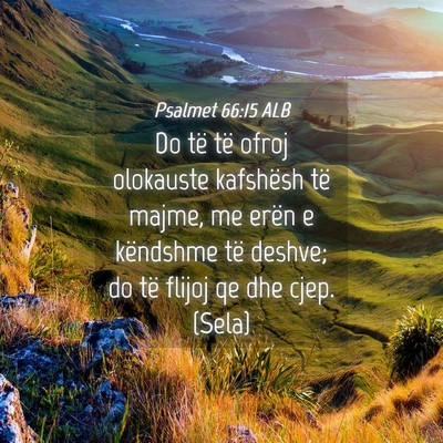 Picture 04 - Psalmet 66:15 ALB - Do të të ofroj olokauste kafshësh të majme, - Bible Verse Picture