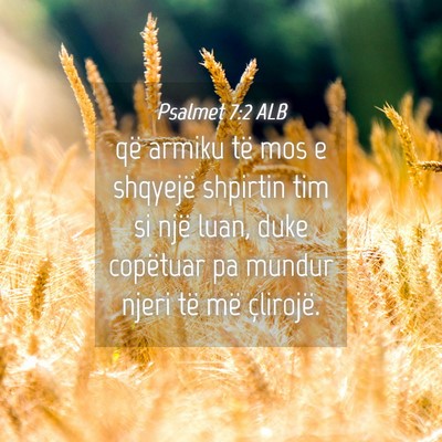 Picture 04 - Psalmet 7:2 ALB - që armiku të mos e shqyejë shpirtin tim si - Bible Verse Picture