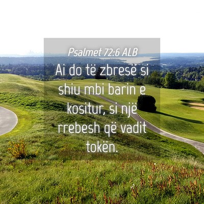 Picture 04 - Psalmet 72:6 ALB - Ai do të zbresë si shiu mbi barin e kositur, si - Bible Verse Picture