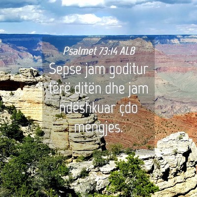 Picture 04 - Psalmet 73:14 ALB - Sepse jam goditur tërë ditën dhe jam - Bible Verse Picture