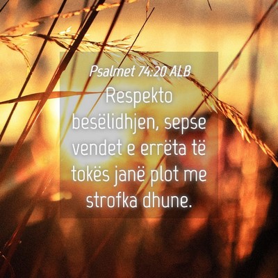 Picture 04 - Psalmet 74:20 ALB - Respekto besëlidhjen, sepse vendet e errëta të - Bible Verse Picture