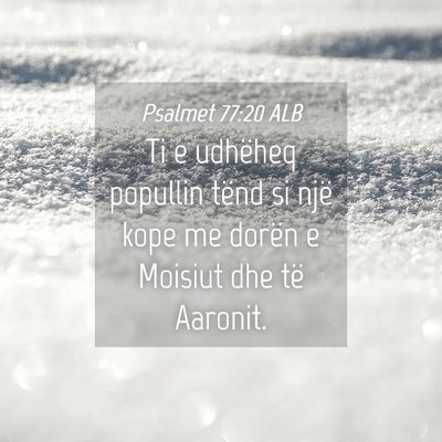 Picture 04 - Psalmet 77:20 ALB - Ti e udhëheq popullin tënd si një kope me - Bible Verse Picture