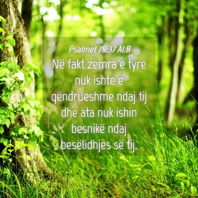 Picture 04 - Psalmet 78:37 ALB - Në fakt zemra e tyre nuk ishte e qëndrueshme - Bible Verse Picture