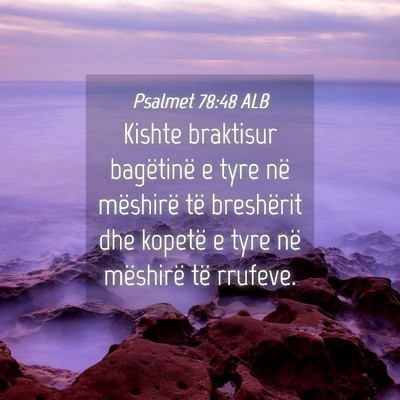 Picture 04 - Psalmet 78:48 ALB - Kishte braktisur bagëtinë e tyre në mëshirë - Bible Verse Picture