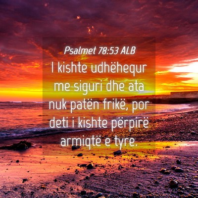 Picture 04 - Psalmet 78:53 ALB - I kishte udhëhequr me siguri dhe ata nuk patën - Bible Verse Picture