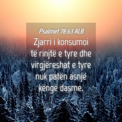 Picture 04 - Psalmet 78:63 ALB - Zjarri i konsumoi të rinjtë e tyre dhe - Bible Verse Picture