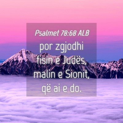 Picture 04 - Psalmet 78:68 ALB - por zgjodhi fisin e Judës, malin e Sionit, që - Bible Verse Picture