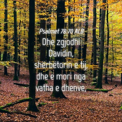 Picture 04 - Psalmet 78:70 ALB - Dhe zgjodhi Davidin, shërbëtorin e tij, dhe e - Bible Verse Picture
