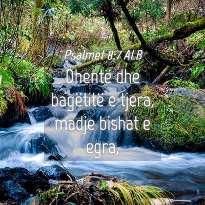Picture 04 - Psalmet 8:7 ALB - Dhentë dhe bagëtitë e tjera, madje bishat e - Bible Verse Picture