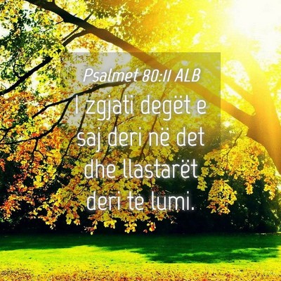 Picture 04 - Psalmet 80:11 ALB - I zgjati degët e saj deri në det dhe llastarët - Bible Verse Picture