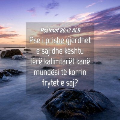 Picture 04 - Psalmet 80:12 ALB - Pse i prishe gjerdhet e saj dhe kështu tërë - Bible Verse Picture