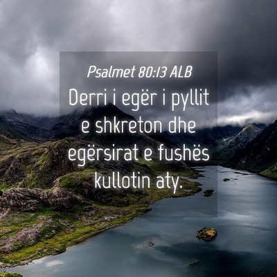 Picture 04 - Psalmet 80:13 ALB - Derri i egër i pyllit e shkreton dhe egërsirat - Bible Verse Picture