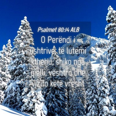 Picture 04 - Psalmet 80:14 ALB - O Perëndi i ushtrive, të lutemi kthehu; shiko - Bible Verse Picture