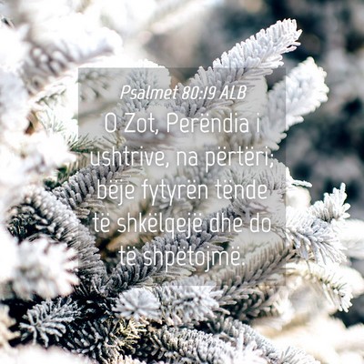 Picture 04 - Psalmet 80:19 ALB - O Zot, Perëndia i ushtrive, na përtëri; bëje - Bible Verse Picture