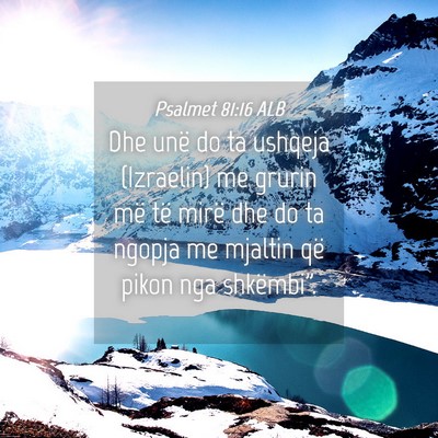 Picture 04 - Psalmet 81:16 ALB - Dhe unë do ta ushqeja (Izraelin) me grurin më - Bible Verse Picture