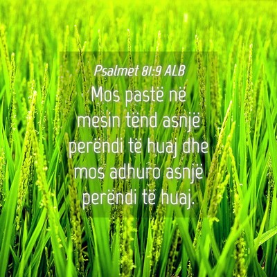 Picture 04 - Psalmet 81:9 ALB - Mos pastë në mesin tënd asnjë perëndi të - Bible Verse Picture