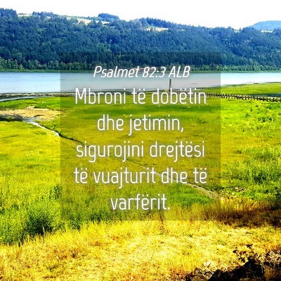 Picture 04 - Psalmet 82:3 ALB - Mbroni të dobëtin dhe jetimin, sigurojini - Bible Verse Picture
