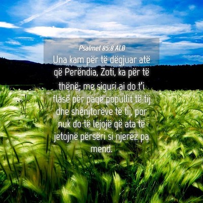 Picture 04 - Psalmet 85:8 ALB - Una kam për të dëgjuar atë që Perëndia, - Bible Verse Picture