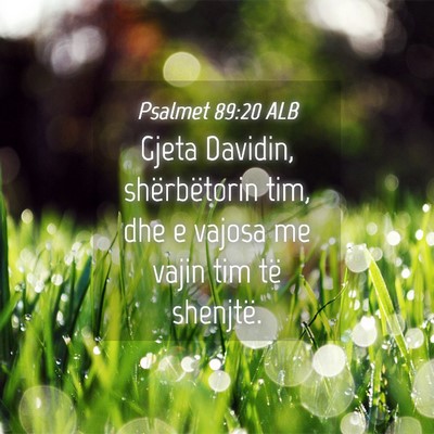 Picture 04 - Psalmet 89:20 ALB - Gjeta Davidin, shërbëtorin tim, dhe e vajosa me - Bible Verse Picture