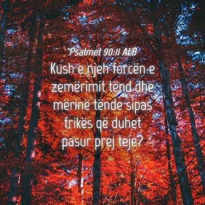 Picture 04 - Psalmet 90:11 ALB - Kush e njeh forcën e zemërimit tënd dhe - Bible Verse Picture