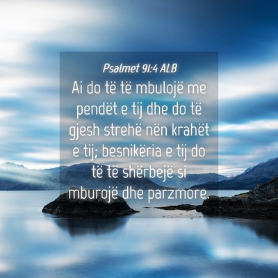 Picture 04 - Psalmet 91:4 ALB - Ai do të të mbulojë me pendët e tij dhe do - Bible Verse Picture