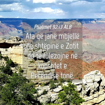 Picture 04 - Psalmet 92:13 ALB - Ata që janë mbjellë në shtëpinë e Zotit do - Bible Verse Picture