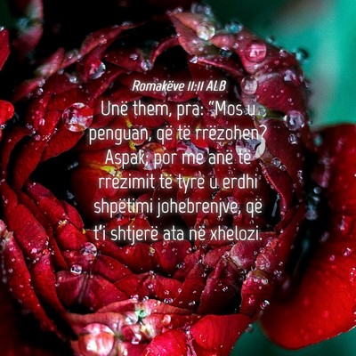 Picture 04 - Romakëve 11:11 ALB - Unë them, pra: “Mos u penguan, që të - Bible Verse Picture