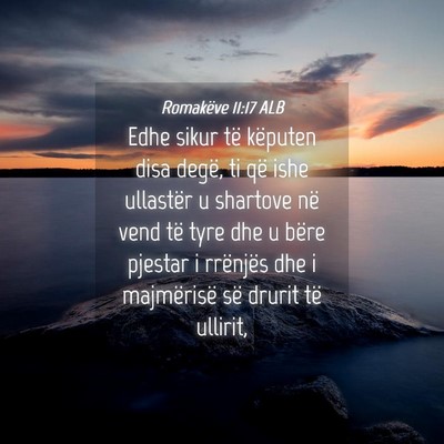Picture 04 - Romakëve 11:17 ALB - Edhe sikur të këputen disa degë, ti që ishe - Bible Verse Picture