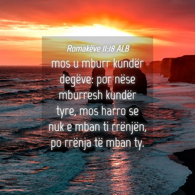 Picture 04 - Romakëve 11:18 ALB - mos u mburr kundër degëve: por nëse mburresh - Bible Verse Picture