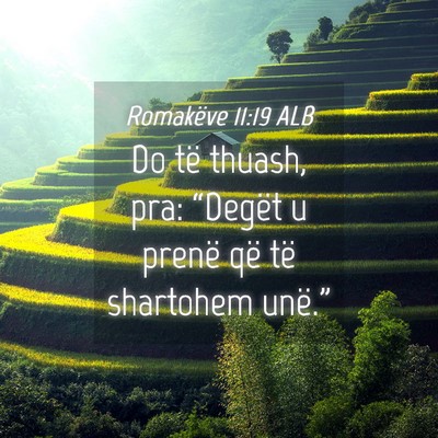 Picture 04 - Romakëve 11:19 ALB - Do të thuash, pra: “Degët u prenë që të - Bible Verse Picture