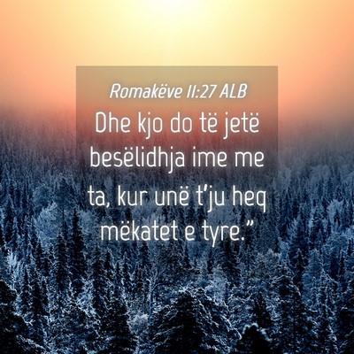 Picture 04 - Romakëve 11:27 ALB - Dhe kjo do të jetë besëlidhja ime me ta, kur - Bible Verse Picture