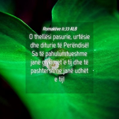 Picture 04 - Romakëve 11:33 ALB - O thellësi pasurie, urtësie dhe diturie të - Bible Verse Picture